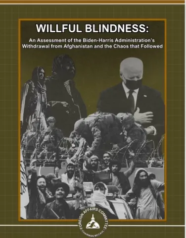 Willful Blindness pdf