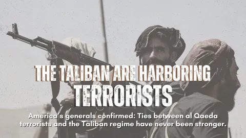 Taliban is creating a safe haven for terrorists